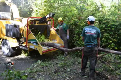 tree services Harmony